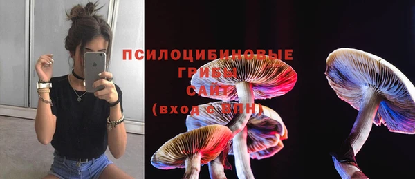 прущая мука Россошь