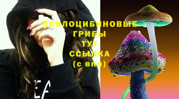 гидропоника Губаха