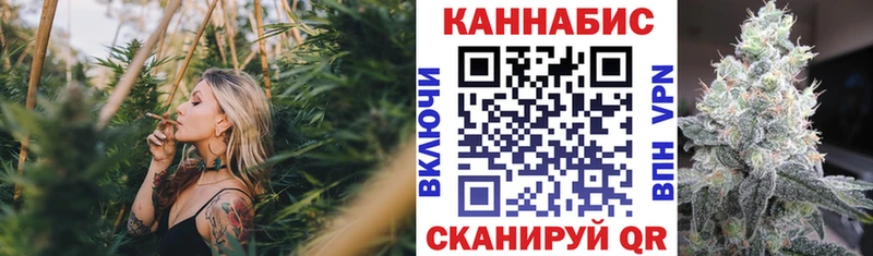 ОМГ ОМГ онион  Чегем  Каннабис гибрид  продажа наркотиков 